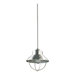 1 Light Pendant