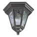  Cast Flush Mount in Baltic Granite