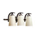 Winslet Three Light Bath Vanity in Oiled Bronze