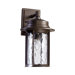 Charter One Light Outdoor Wall Lantern with Clear Hammered Glass Shade in Oiled Bronze