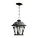Baxter One Light Outdoor Pendant in Old World