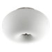 8" 2 Light Semi Flush Mount