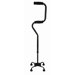 Sit-to-Stand Cane
