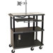 Tuffy Extra Wide Presentation Station with Monitor Mount