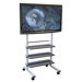 Flat Panel Cart