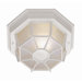 Outdoor 4"  Flush Mount