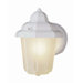 Outdoor 6"  Wall Lantern