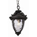  Exterior Hanging Lantern with Clear Water Glass in Black