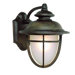  Outdoor Wall Lantern in Dark Rust