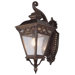 Outdoor Two Light Medium Down-Light Wall Lantern in Rust