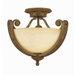 Ambassador Convertible Semi Flush Mount