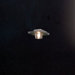 Maia Single Light Wall Sconce in Silver Gray