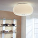Blow Two Light Ceiling Flush Mount