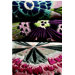 Tappeti Botanica Novelty Rug