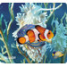 Marine Theme 3D Mouse Pad