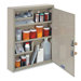 MMF Industries Dual-locking Steel Drug Cabinet, Sand