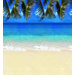 Fadeless Designs 48 X 50 Boxed