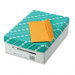 Kraft Envelope, Contemporary, #10, Light Brown, 500/box