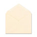 Invitation Envelope (100 Per Box)