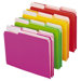 File Folder, Letter, 1/3 Tab, Neon Colors
