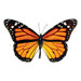 Classic Accents Monarch Butterfly