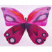 Purple Emperor Paper Prints