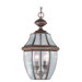 Monterey Outdoor Hanging Lantern in Imperial Bronze