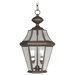 Georgetown Outdoor Hanging Lantern in Bronze