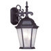Hamilton 18.5" Outdoor Wall Lantern with Clear Water Glass Shade in Bronze