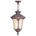 Oxford Outdoor Chain Hung Pendant