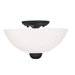 Brookside 2 Light Semi Flush Mount