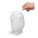 Coin Bank Owl