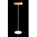 Toric Floor Lamp