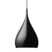 Spinning BH1 Pendant