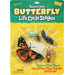 Butterfly Life Cycle Stage