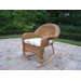 Resin Wicker Rocker (Set of 2)