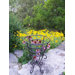 Gold Cup Round Stand Planter