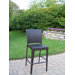 Elite Resin Wicker Bar Stool (Set of 2)
