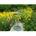 Feathers Meadow Bird Bath