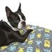 Mr. Roboto Round Dog Duvet