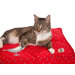 Bird On A Wire Square Cat Duvet