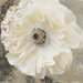Blooming Softly I Canvas Wall Art