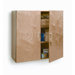 Lockable Wall Cabinet