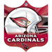 NFL 13" High Def Plaque Clock