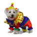 Shiny Clown Dog Costume