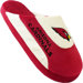 NFL Low Pro Stripe Slipper