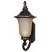 Parisian  Arm Up Wall Lantern in Old Penny Bronze