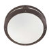 Hudson 13"  Wall Lantern in Matte Black
