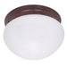 2 Light Flush Mount
