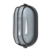  Oval Cage Wall Sconce in Architectural Bronze